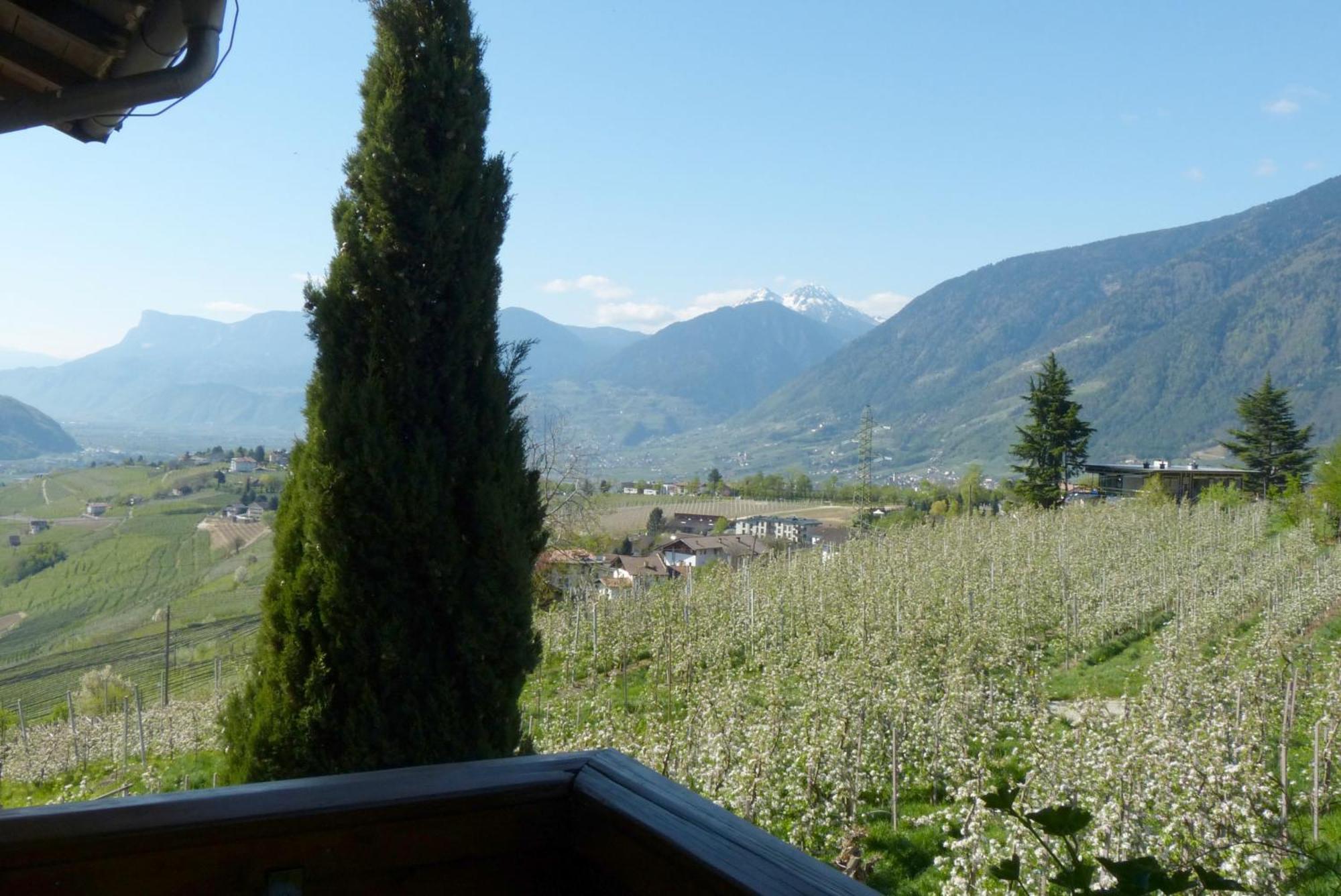 Garni Sonnleiten Tirolo Luaran gambar